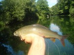 DSC00201 web.JPG